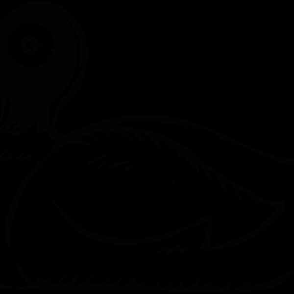 duck2 Thumbnail