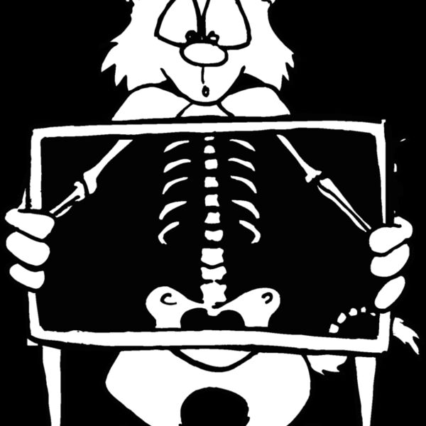 catxray Thumbnail