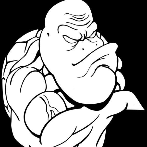 turtle Thumbnail