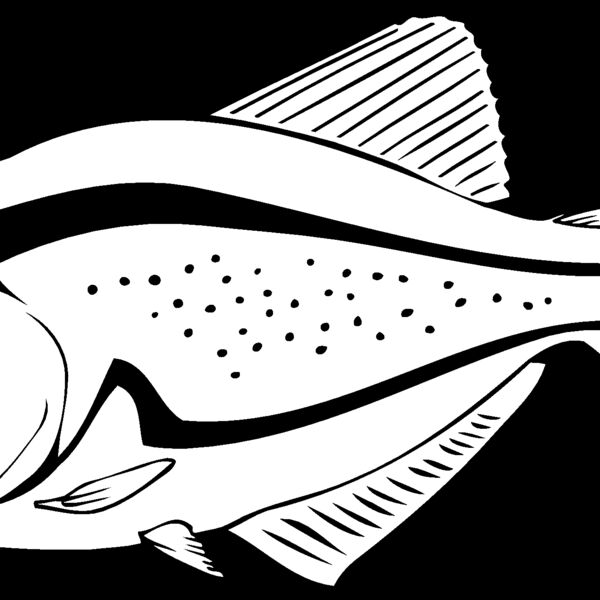 piranha07 Thumbnail