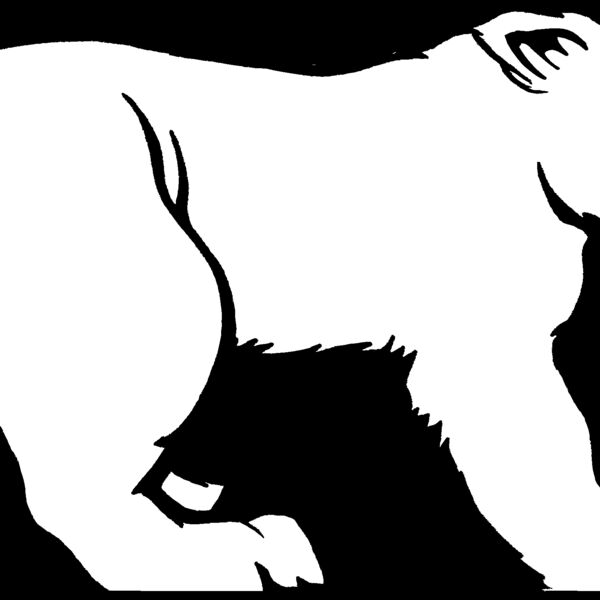 bear44 Thumbnail