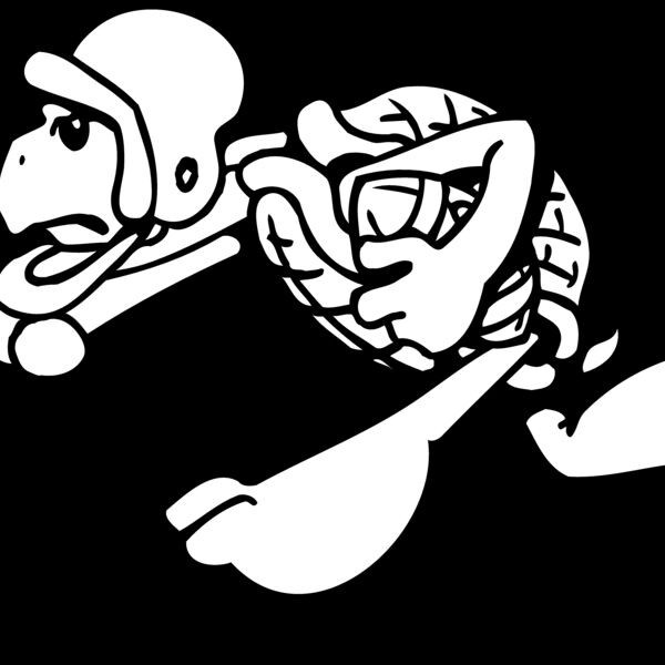 turtlefb Thumbnail