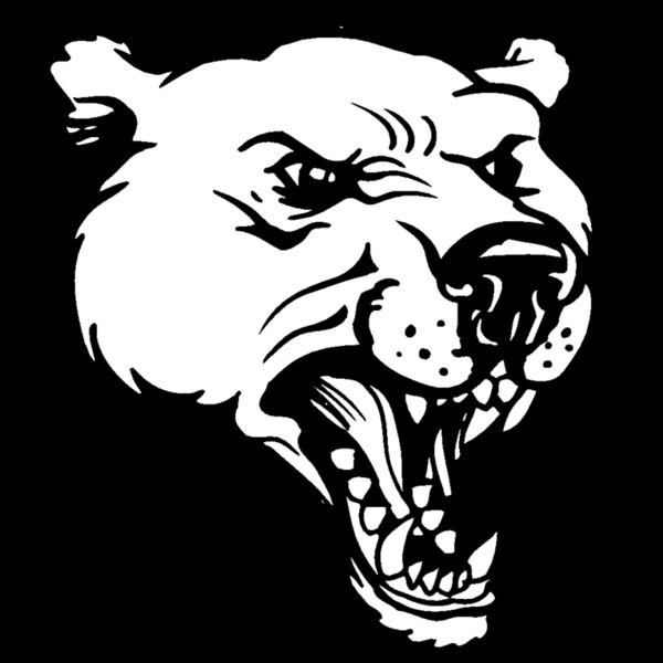 bear2 Thumbnail