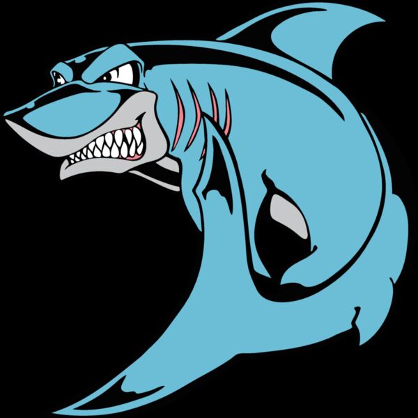 shark05 Thumbnail