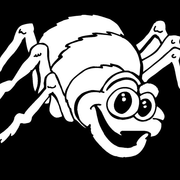 spider Thumbnail