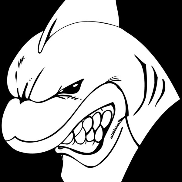 shrkhd Thumbnail