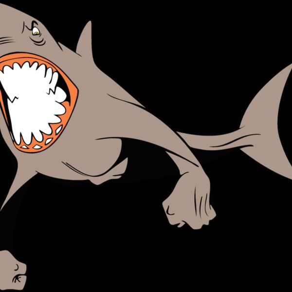 sharkmsct1 Thumbnail