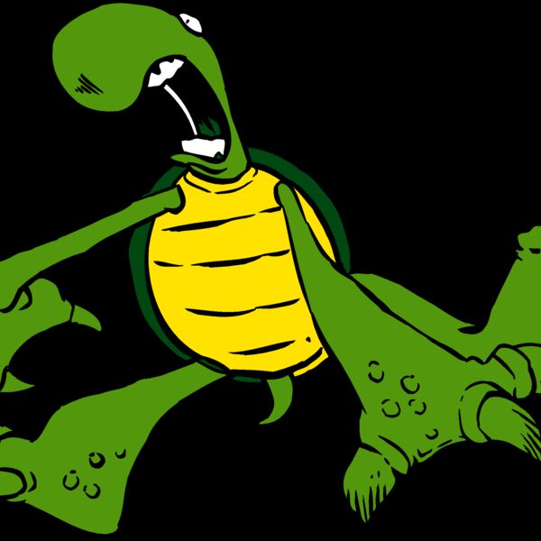 turtle01 Thumbnail