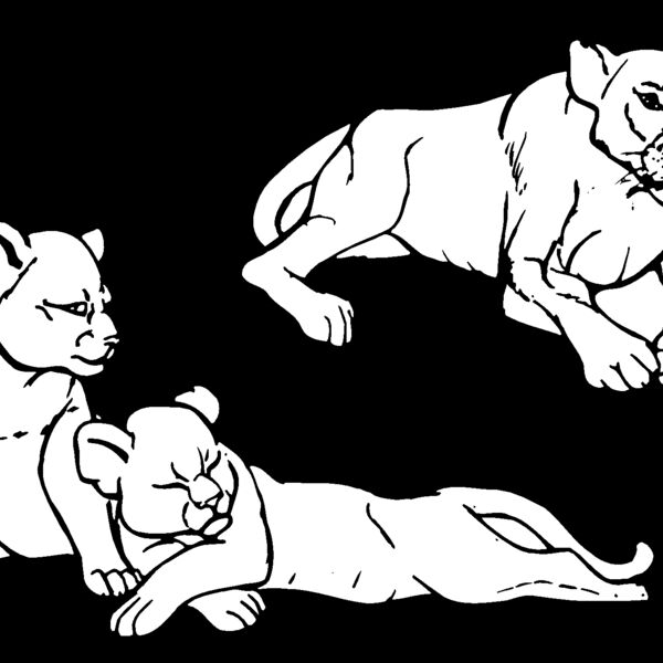 lnams06 Thumbnail