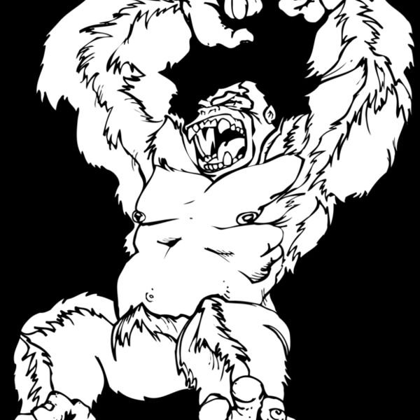 gorilla5 Thumbnail