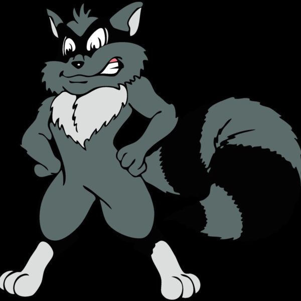 raccoonmsct04 Thumbnail