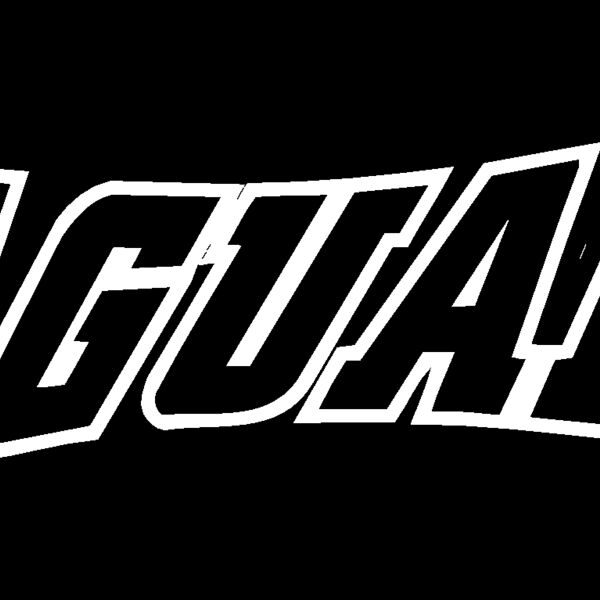 jgaanm Thumbnail