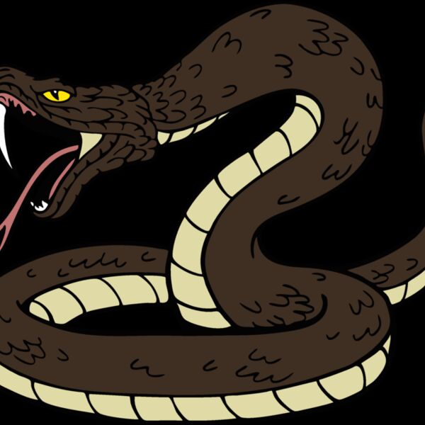 snakemsct04 Thumbnail