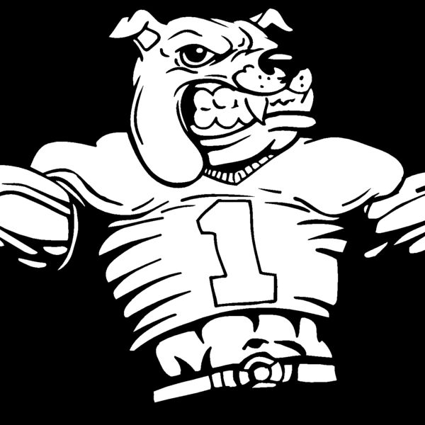 bdgfb13 Thumbnail