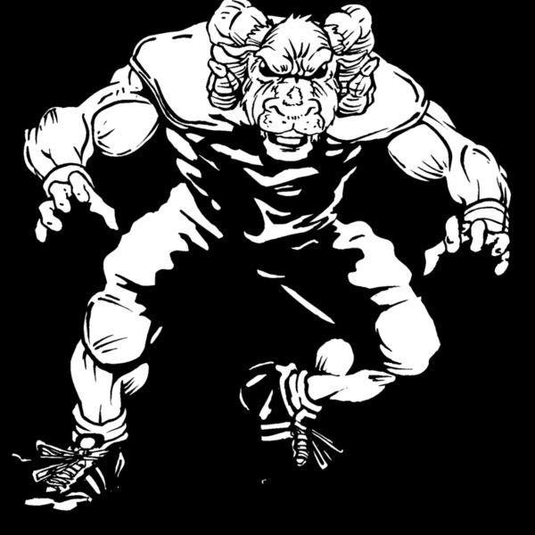 rmfb2 Thumbnail