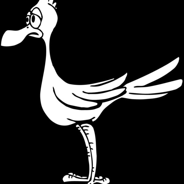bird18 Thumbnail