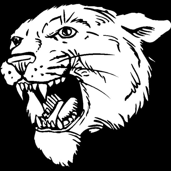pchd4 Thumbnail