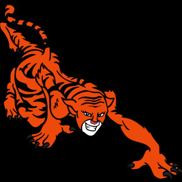 tigerldy1 Thumbnail