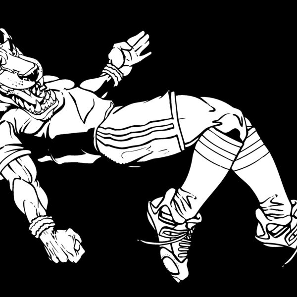 wfsr Thumbnail