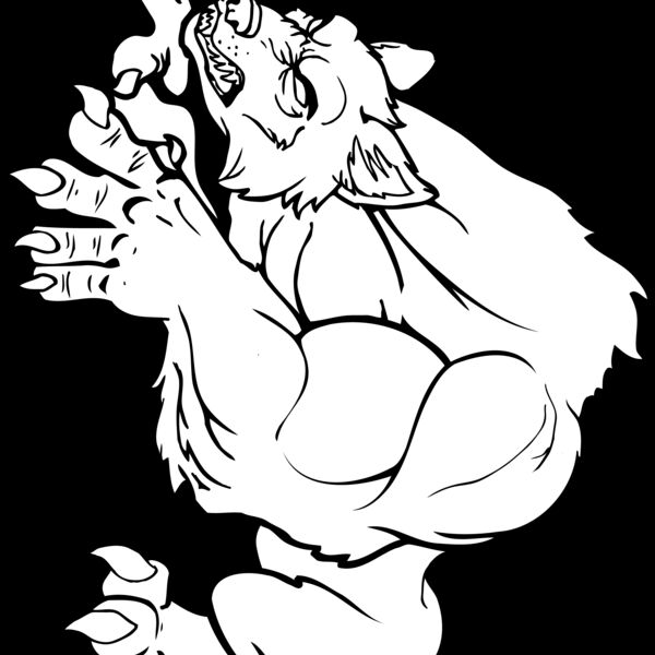 wlfrn Thumbnail
