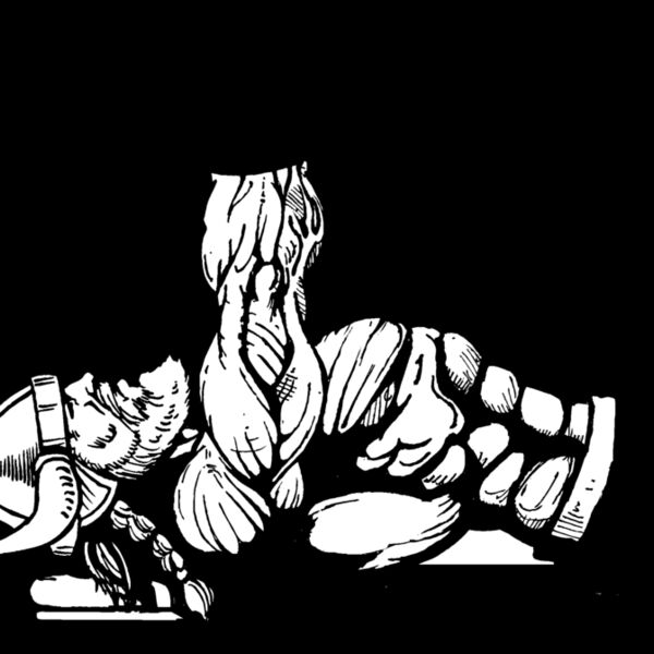 vkwt3 Thumbnail