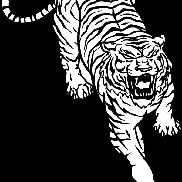 tiger10 Thumbnail