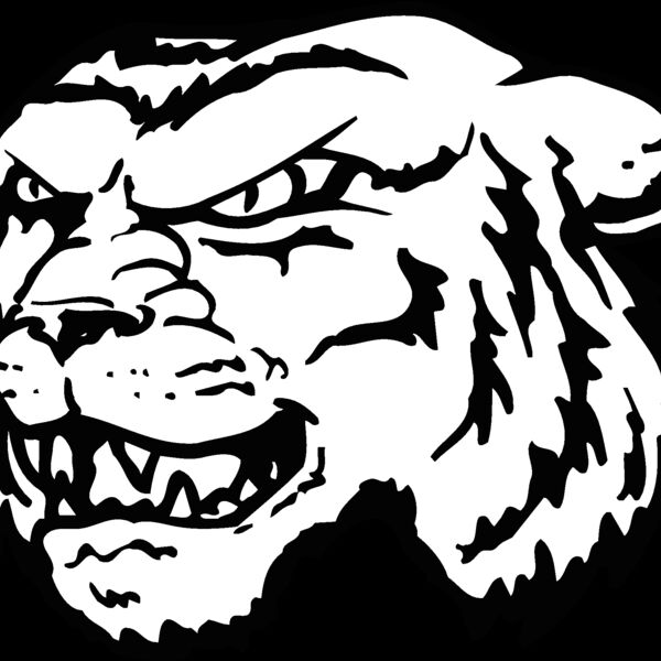 tigerhd18 Thumbnail