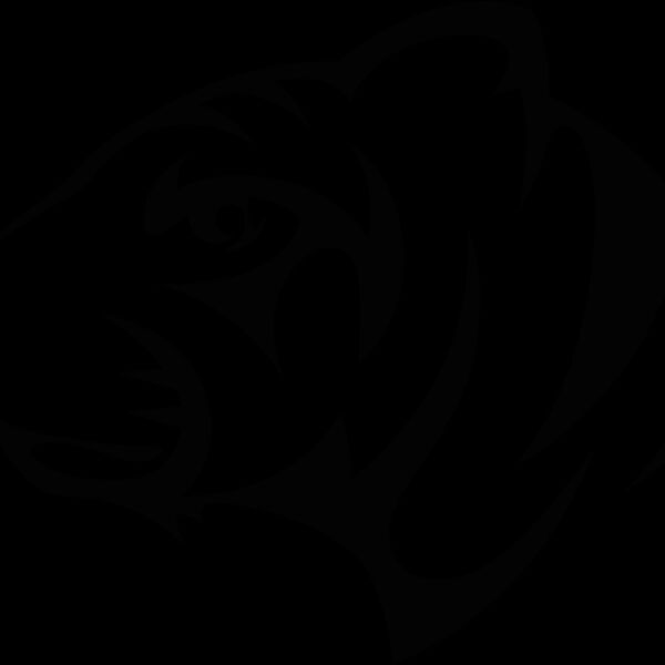 tigerhd16 Thumbnail