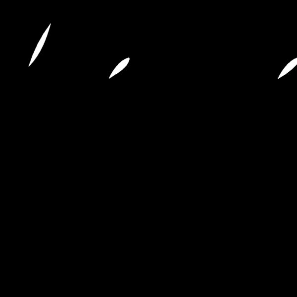 wvaanm Thumbnail
