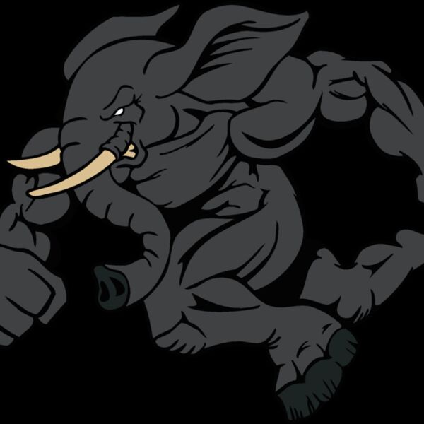 elephant3 Thumbnail