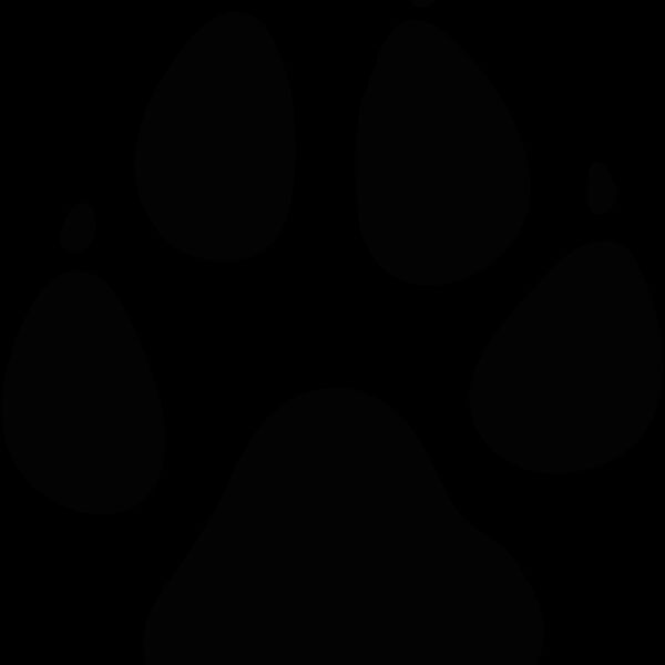 wolfpaw1 Thumbnail