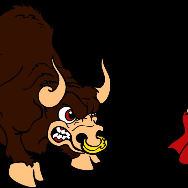 matadorbull1 Thumbnail