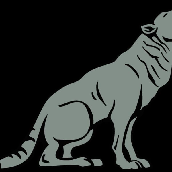 coyote2 Thumbnail
