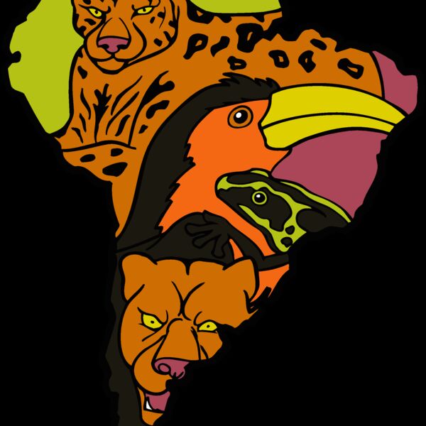 safari1 Thumbnail