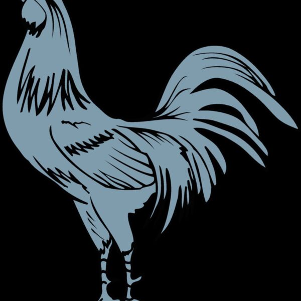 delawarehen1 Thumbnail