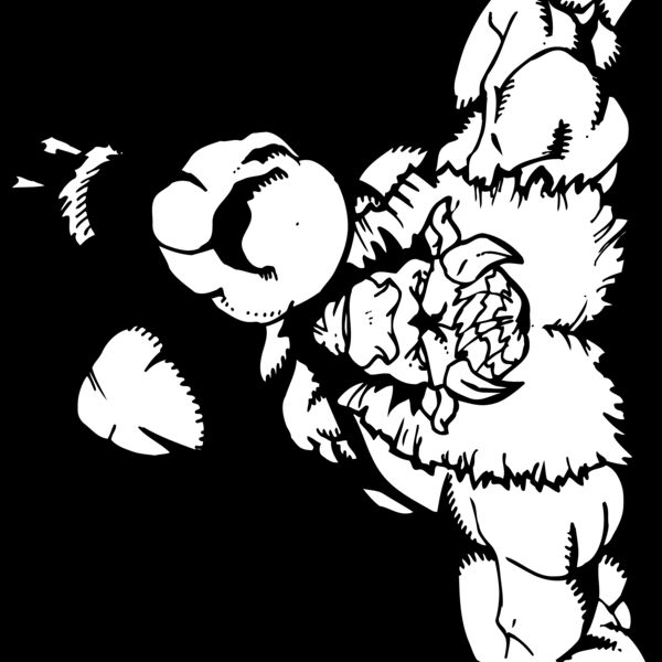 bflorg Thumbnail