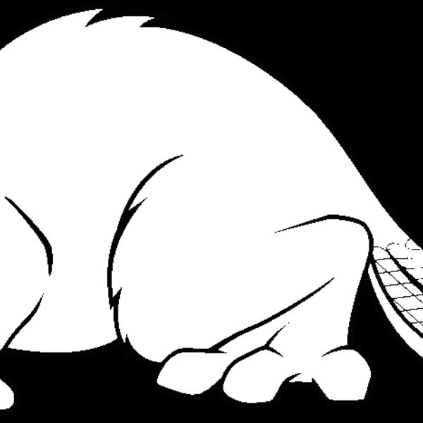 beaver6 Thumbnail
