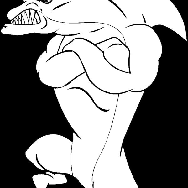 dolphin24 Thumbnail