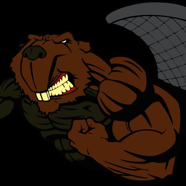 beaver10 Thumbnail