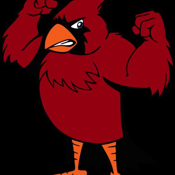 cardinalmsct3 Thumbnail