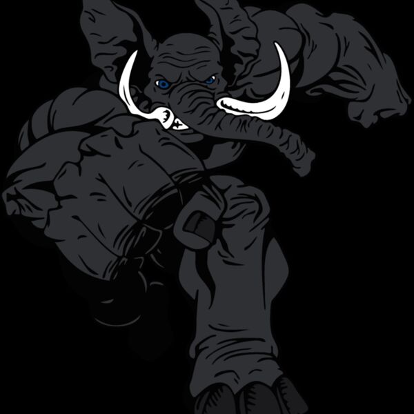 elephantmsct5 Thumbnail