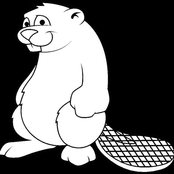 beaver2 Thumbnail