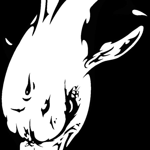 dolphin16 Thumbnail