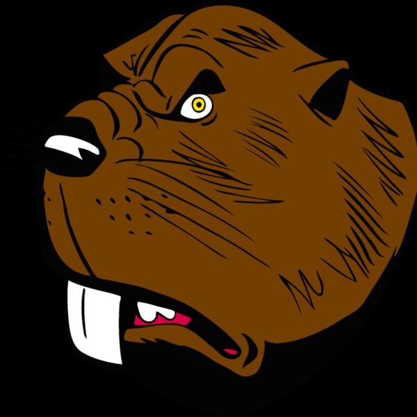 beaver32 Thumbnail