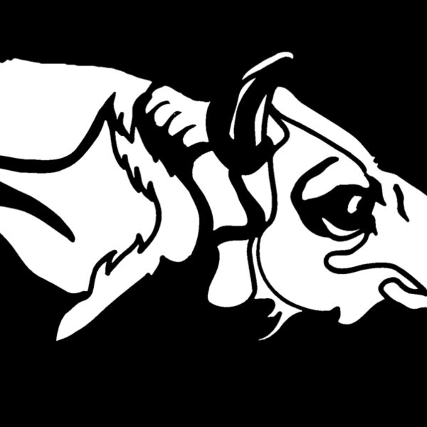 btahd02 Thumbnail