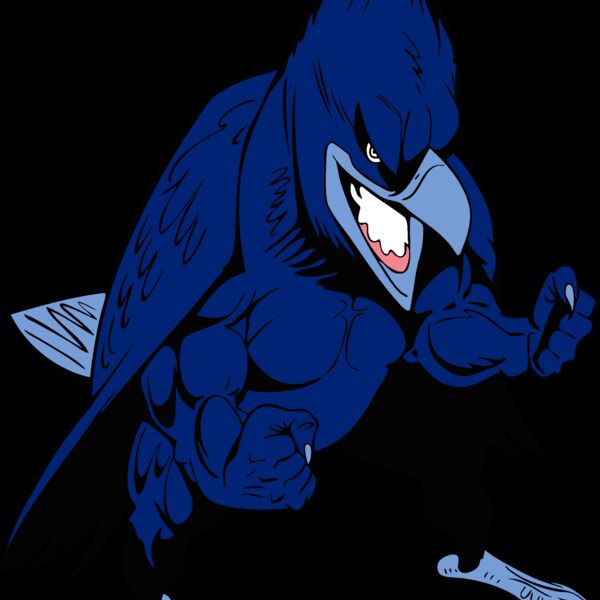 bluejay5 Thumbnail
