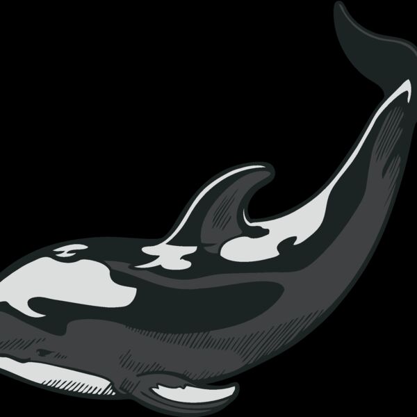 dolphin14 Thumbnail