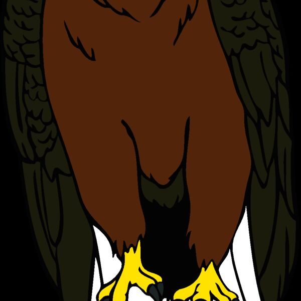 eagle08 Thumbnail