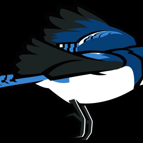 bluejay7 Thumbnail