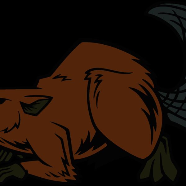 beaver15 Thumbnail